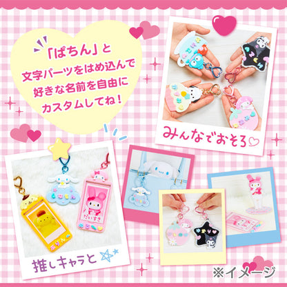 PARTS FOR ACCSSRS: PACHI