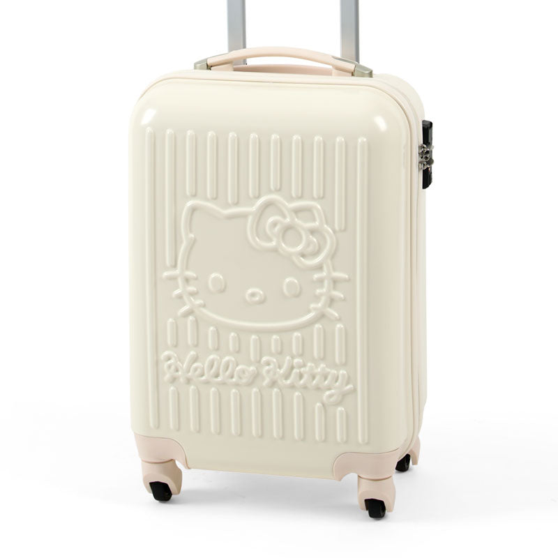 ROLLING LUGGAGE: 29L