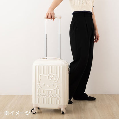 ROLLING LUGGAGE: 29L