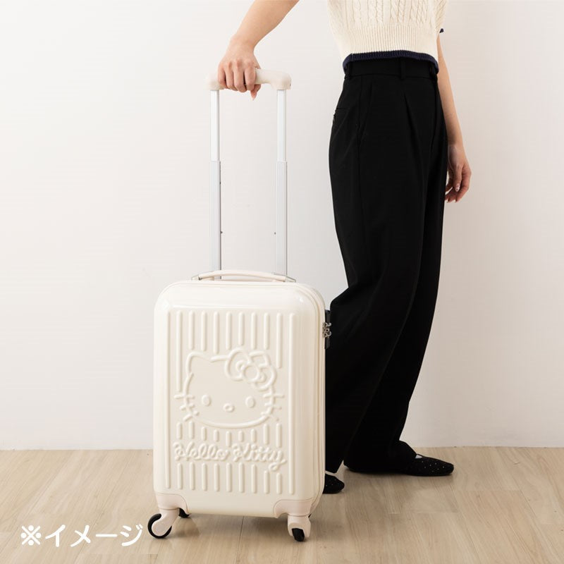ROLLING LUGGAGE: 29L