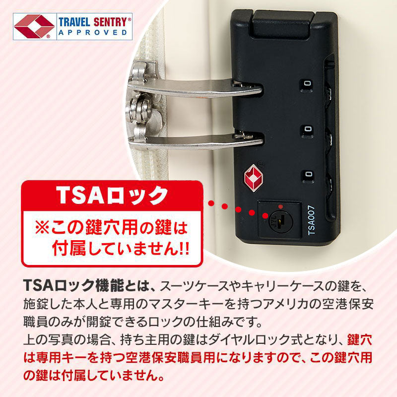 ROLLING LUGGAGE: 29L