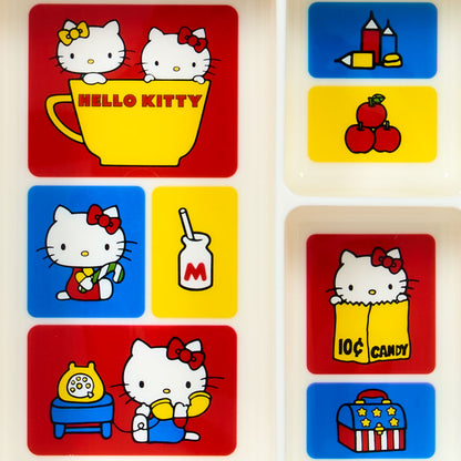 PLASTIC TRAY W/COVER