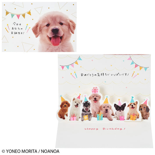 GREETING CARD : BD321-6