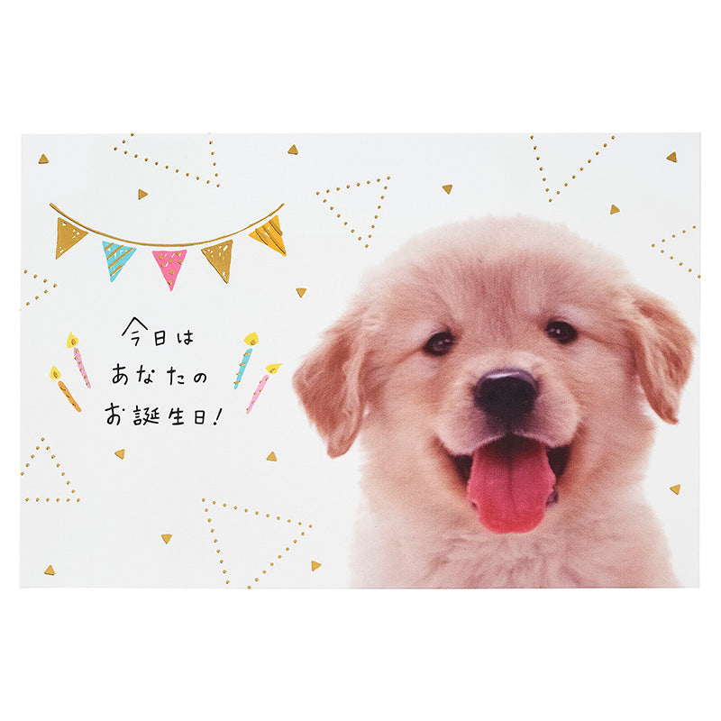 GREETING CARD : BD321-6