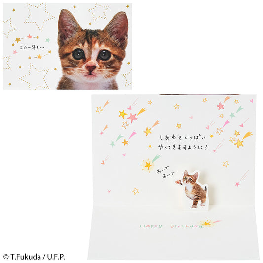GREETING CARD : BD322-6