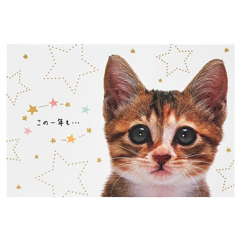 GREETING CARD : BD322-6