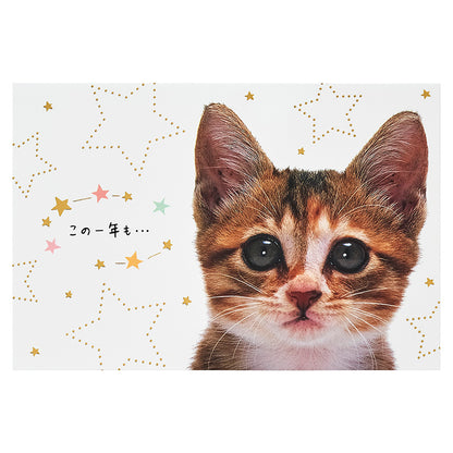 GREETING CARD : BD322-6