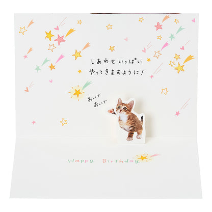 GREETING CARD : BD322-6
