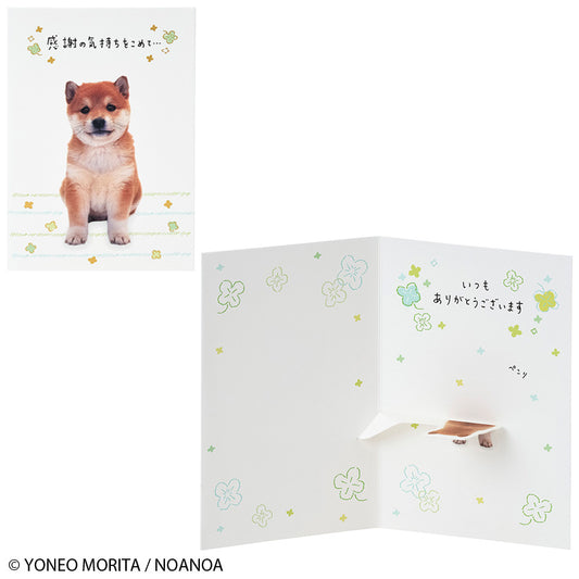 GREETING CARD : TY323-6