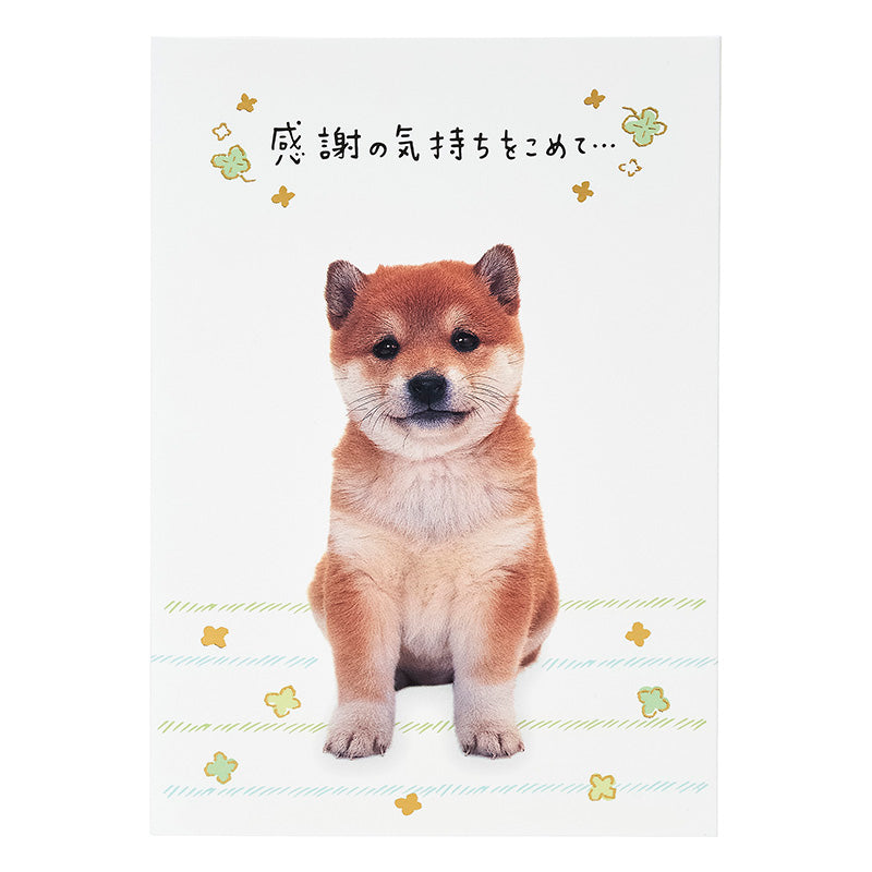 GREETING CARD : TY323-6