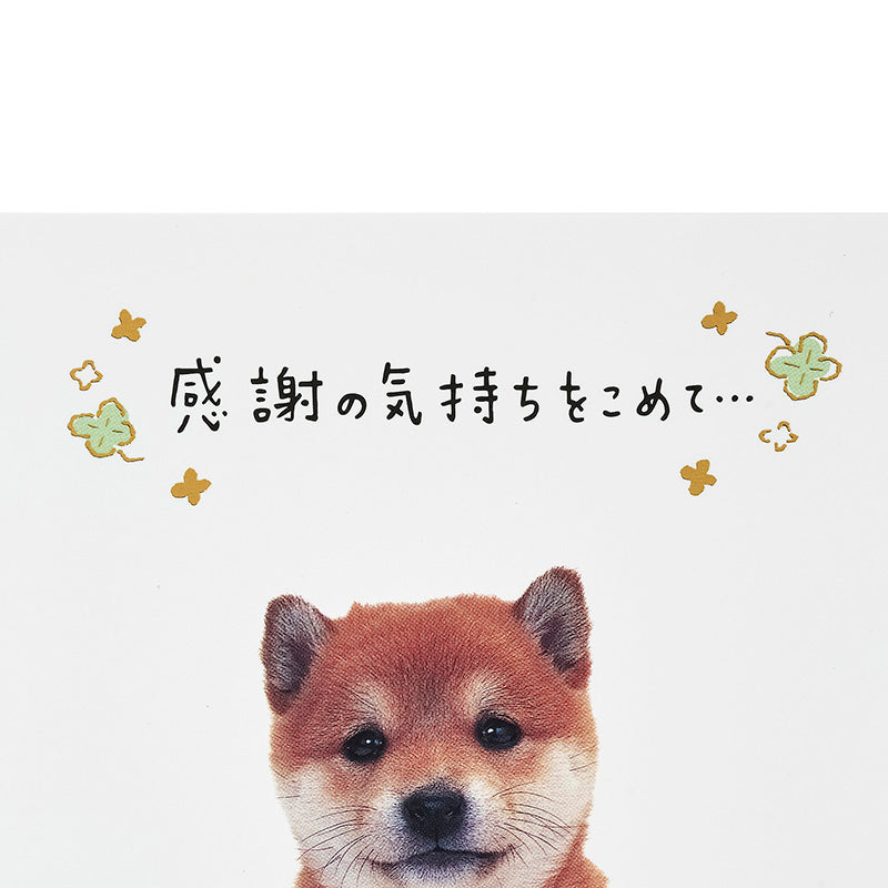 GREETING CARD : TY323-6