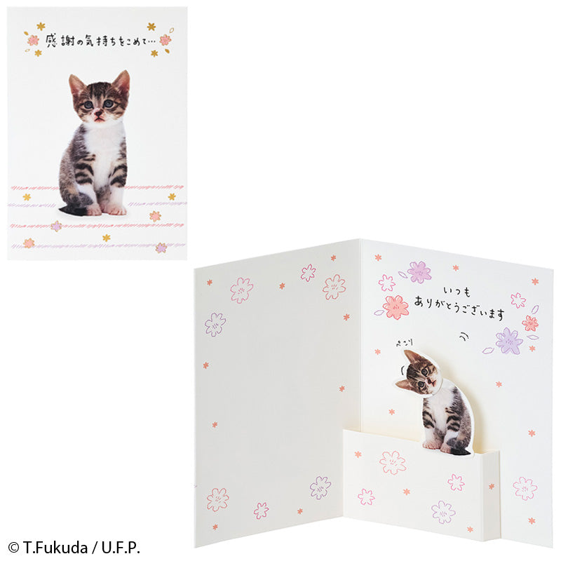 GREETING CARD : TY324-6