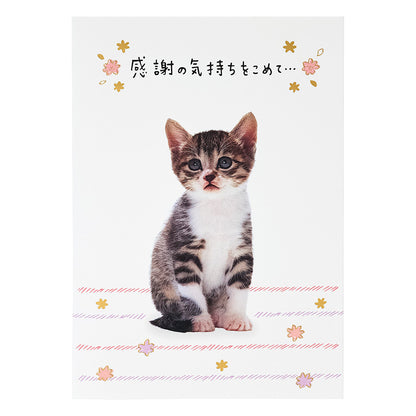 GREETING CARD : TY324-6