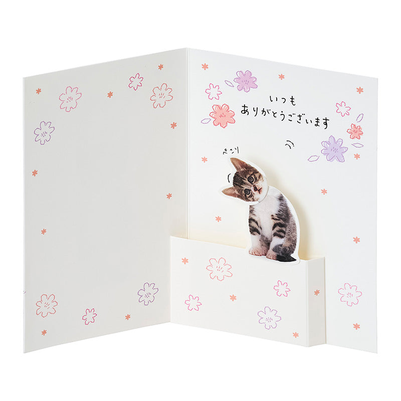 GREETING CARD : TY324-6