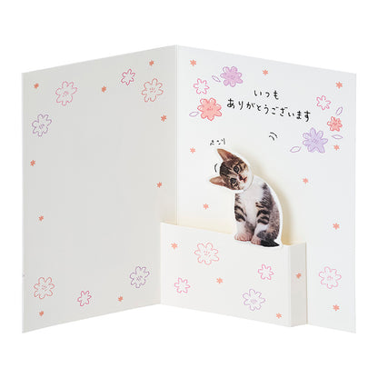 GREETING CARD : TY324-6
