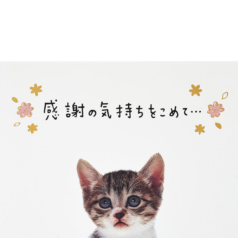 GREETING CARD : TY324-6