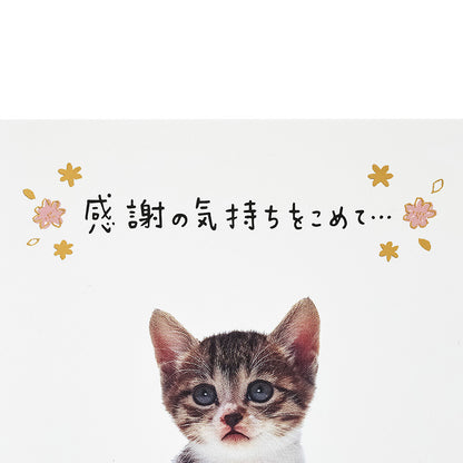 GREETING CARD : TY324-6